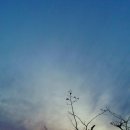 무안비치호텔 이미지