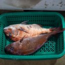 믿음수산 - 부천시 소사구 은성로76번길 31 | 믿음수산