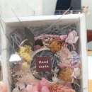 월포초 병설유치원 이미지