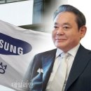 남매물산 데일리안
