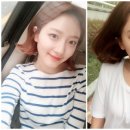 닥터스컴퍼니