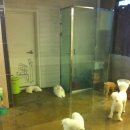 서림동물병원 이미지