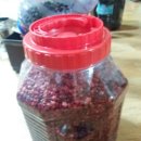 다금농장 이미지