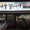 은행나무갈매기 이미지