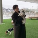 재롱펫