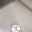 보광홈케어 이미지