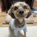 바우스쿨 이미지