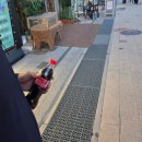 김포한강2로-L | 장기동 라베니체 완미족발 후기｜산책하다 족발이 땡긴다면 추천