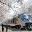 볼투어㈜ 이미지