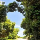 장사도해상공원 이미지