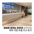 광화문하나이비인후과의원 | [서울 광화문] 써밋의원 내돈내산 복부 바디 지방추출 잘하는곳에서 지방분해 2주차 후기