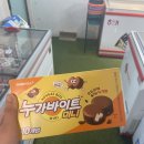 설맥삼척점