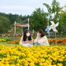 평화공원 - 금산군 앞재길 21-48 | 평화공원