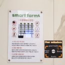 엄마사랑화장실 | 부산 쌈밥 아카이브 올팜 쌈밥뷔페 엄마와 런치 후기 대만족 범일동 한식뷔페