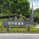 크와아앙 | 3,500원으로 즐기는 가성비청주 아기랑
