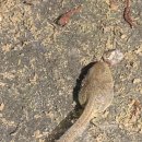 해남읍사무소 이미지