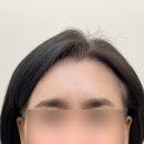 비비브로우