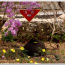 야생화펜션 이미지