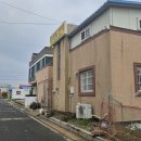 신진도민박 | [충남/태안] 2024 새해기념 낚시하며 신진도민박에서 4박 묵은 후기