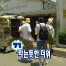 신혼부부 오키나와 여행 브이로그 극p여행 찐후기
