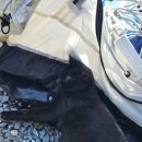 안녕오토캠핑장 이미지