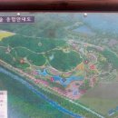 용인초등학교 Daum카페