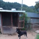 모노 (MONO) 이미지