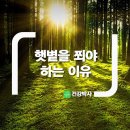 헷빛을 쬐야하는 이유 이미지