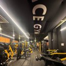 페이스짐 이미지