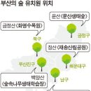 숲유치원 이미지
