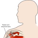풀잎한의원 이미지