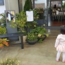 SK성원주유소 이미지