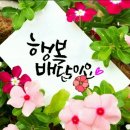 효녀방