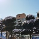 송추정신병원(성람재단) 이미지