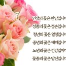 소중한당신에게