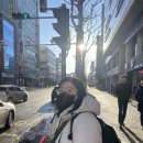 성산면사무소 버스정류장 네이버블로그