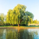 청성보건지소 이미지