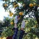 대청금속 이미지