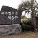 표선리-29 네이버블로그