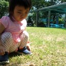 팔매숲공원 이미지