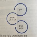 딜리트짐 | 갱년기, 운동을 통해 긍정적으로 이겨내기 구리 피티 딜리트짐에서 PT후기
