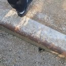 안산천남로 이미지