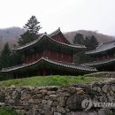평창 오대산 사고 이미지