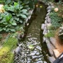 피어나는 생명 | 일산 포레스트 아웃팅스 솔직 후기: 빵과 커피 맛은 과연 어떨까?