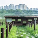 사계절약국 이미지