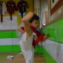 메가스태권도장 이미지