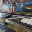 자연배달횟집 이미지