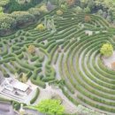 메이즈랜드 이미지