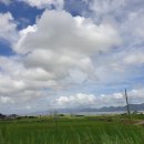 돌고래식당 이미지