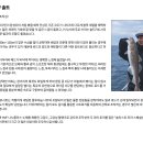 (주)윈로드소프트 | [다이와] 솔티스트 타라 SP (대구 타이라바 전용 로드)